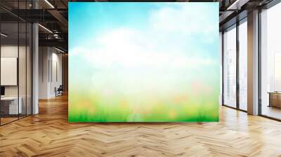 abstract nature spring background with green grass and blue sky gradient Wall mural