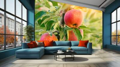 Apple tree with fruits Wall mural