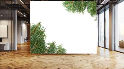 christma tree branches over white background Wall mural