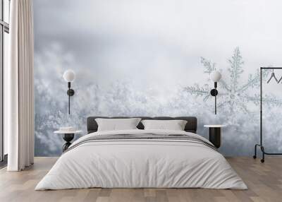 Christmas winter background with snowflakes and copy space Wall mural