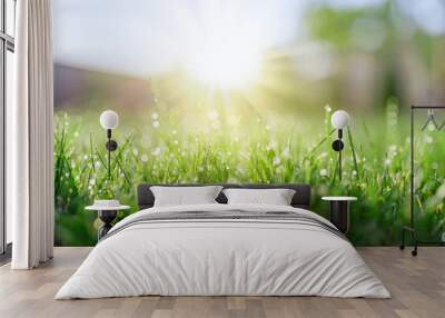 Grass field in sunny morning Wall mural