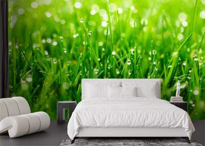 green grass with water drops close-up in sunlight background Wall mural