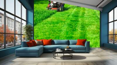 Lawn mower cutting green grass in backyard, mowing lawn Wall mural