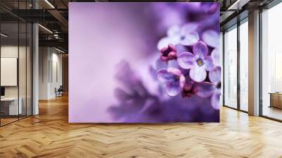 Lilac flowers spring blossom background Wall mural