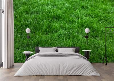 Natural green grass background, fresh lawn top view Wall mural