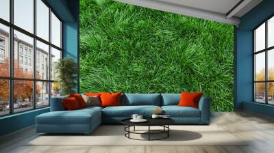 Natural green grass background, fresh lawn top view Wall mural