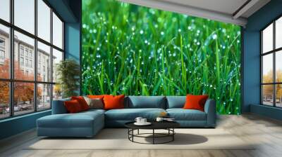 Natural green grass background, fresh lawn with rain drops shallow dept of field Wall mural