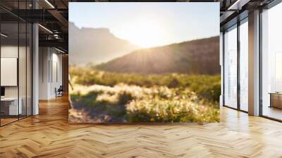 Panoramic image of a family walking in the mountains at sunset Wall mural