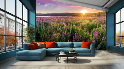 Purple wild flowers meadow, sun rays through the montains with dramatic clouds Wall mural