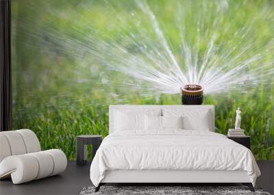 sprinkler watering grass Wall mural