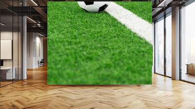 traditional soccer ball on soccer field Wall mural