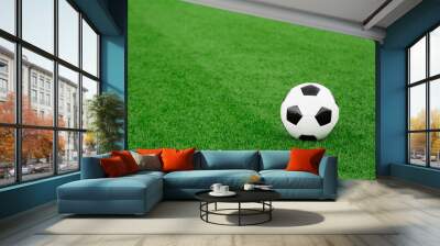 traditional soccer ball Wall mural