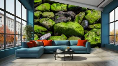 green moss on the rocks Wall mural