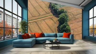 aerial view of green harvest fields Wall mural