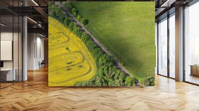 aerial view of the  harvest fields Wall mural