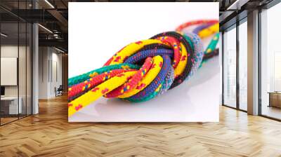 colorful rope knot Wall mural