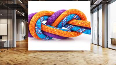 eight  rope knot isolated on white Wall mural