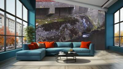 water flowing from the river Wall mural