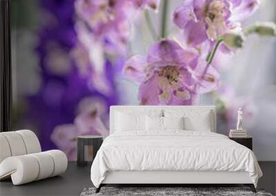 Delphinium or Larkspur purple, pink, blue, close-up Wall mural