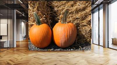 Pair of Pumpkins  Wall mural