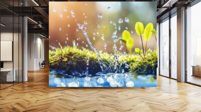 An abstract outdoor wild nature background with an abstract stream of fresh water with young green plants in the springtime. Horizontal banner, springtime concept. Wall mural