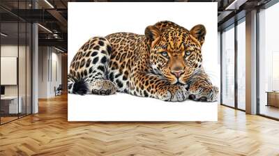 An illustration of a jaguar posing in an imposing manner on a white background. Wall mural