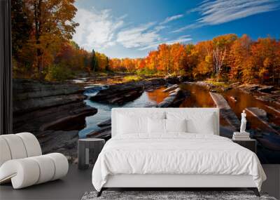 Fall colors at Bonanza Falls on the Big Iron River in Michigan's Upper Peninsula. Wall mural