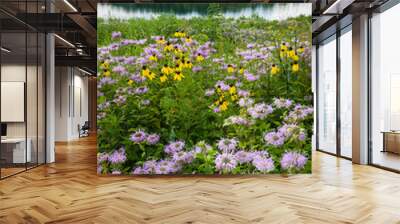 Storm clouds move along the horizon over summer wildflowers and a small pond. Wall mural