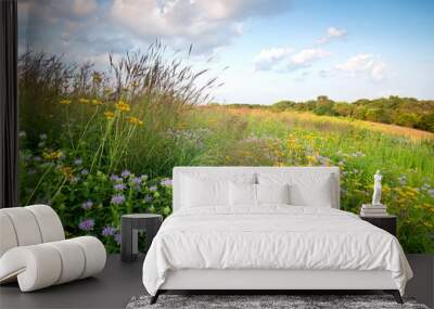 Sunset light on native grasses wildflowers in a Midwest prairie. Wall mural