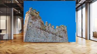 castle ruins, castlemartyr, ireland Wall mural