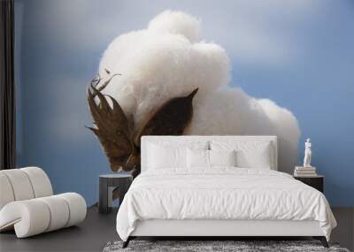 Cotton Wall mural