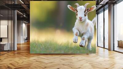 cute white and brown baby goat running in grass field - adorable farm animal portrait Wall mural