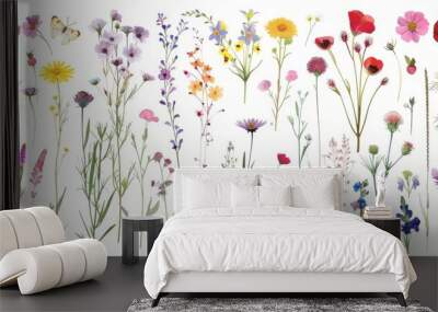 Detailed autumn foliage and plants, accompanied by dried wild herbs and flowers. Wall mural