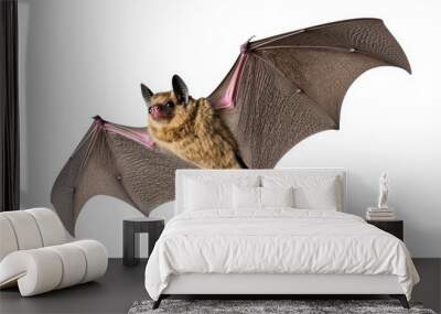 Flying bat vampire with wings isolated on clear PNG background, Halloween festive elements concept, Vampire animal in generative AI. Wall mural