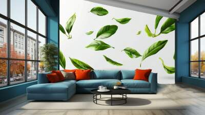 Flying green foliage with falling tea leaves on transparent background. Floral organic elements, 3D modern illustration, set for packaging design, advertising, promotional materials. Wall mural