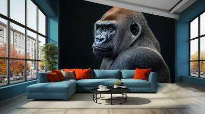 Photo of a gorilla isolated against a black background, emphasising the gorilla's majestic features. Wildlife and conservation concept, space for copy. Wall mural