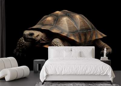 Photo of a tortoise isolated against a black background, emphasising the tortoise's majestic features. Wildlife and conservation concept, space for copy. Wall mural