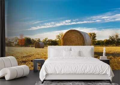 Hay bale in a farm field Wall mural