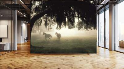 Two horses under Live oaks with sun rays in morning mist Wall mural