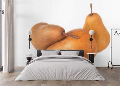 bosc pears Wall mural