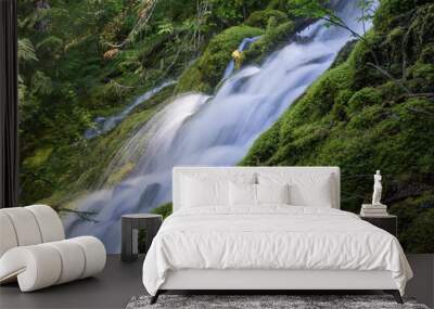 Waterfall in the forest Wall mural