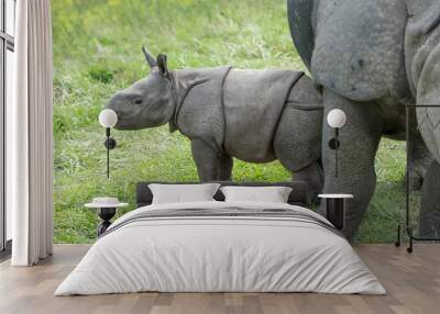 3 week old baby Indian Rhinoceros with mother 
 Wall mural