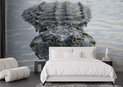 Close-up of a Large Male Alligator Wall mural