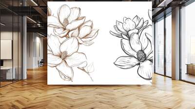 Magnolia line-art Wall mural