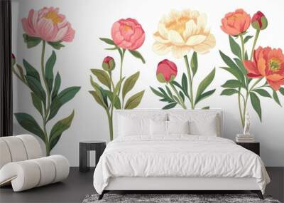 Peony and garden flower modern bouquet, botanical natural flowers peonies illustrations on white. Greeting card for summer, floral bouquet decoration, spring floral bouquets. Wall mural