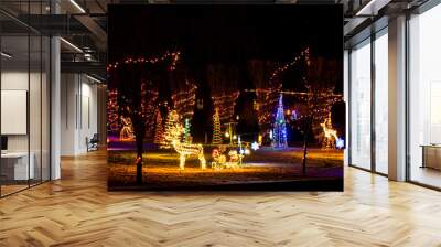 A Christmas light display in the front yard of a home on the drive of lights tour. Wall mural