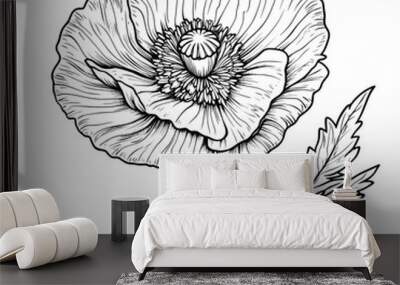 Poppy flower drawing in black line isolated on white background. Illustration of modern floral design. Wall mural