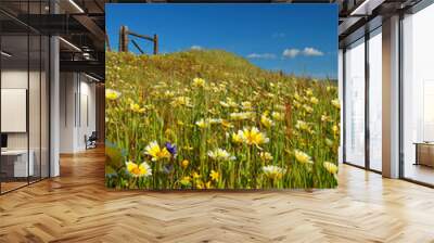 springtime meadow Wall mural