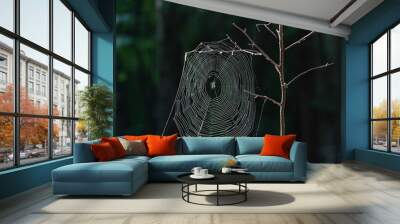 Spider web against a black background Wall mural