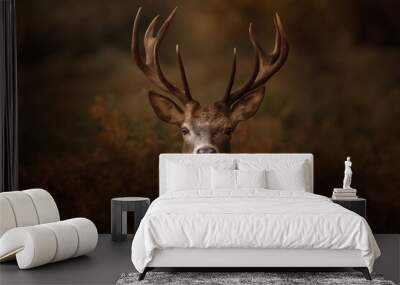 Stag in forest Wall mural